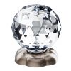 Florale Crystal - platinum matt - .066